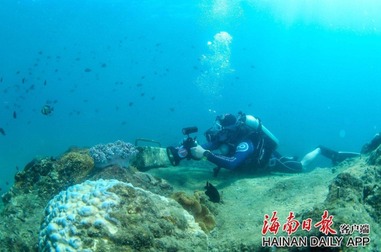探讨交流尽在如何评价独生子?剧情表达什么?