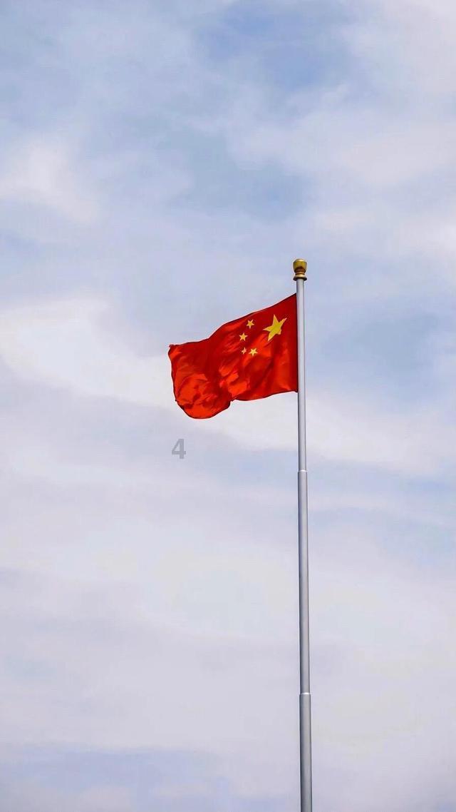 救援贪玩的大象